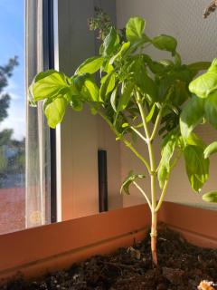 Appartement - Spacieux entre ville et nature ! - 4