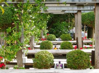 The Woolpack Inn Warehorne - 5