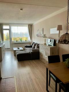 App 507 Bocksbergblick im Ferienpark Hahnenklee Haus 1 - Goslar - 1