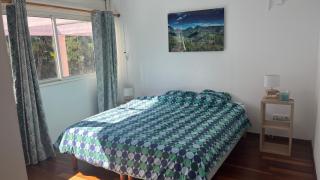 Le flamboyant rougeoyant - Saint-Louis - 8