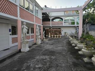 Le flamboyant rougeoyant - Saint-Louis - 4