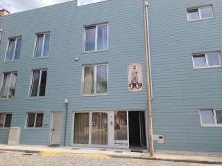 Cachinnans Hostel & Apartments - Vila do Conde - 9