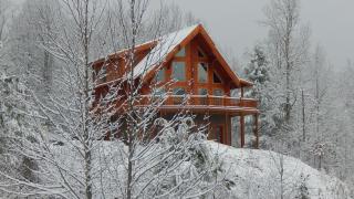 Ridge View Lodge Nature and Mountain View - Hot tub - Firepit - Yard - Games - Gatlinburg - 3