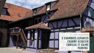 Gîte Elouann familial spacieux calme - Ebersheim - 0