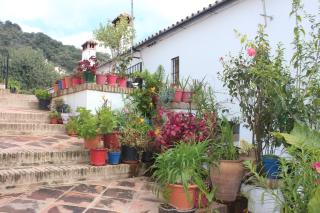 Apartamentos Rurales Jardines del Visir - 2