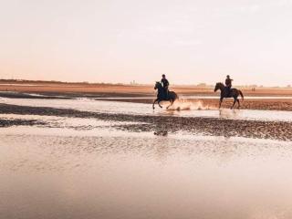 Duplex à 300m de la plage, parking privatif, animaux admis - FR-1-465-116 - 1