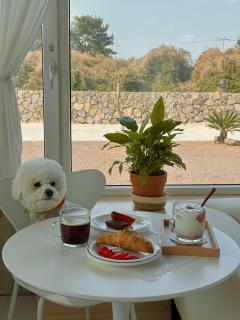 Jeju Stay Dayeon - 1