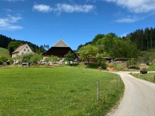 Ruhbauernhof - Kirchzarten - 4