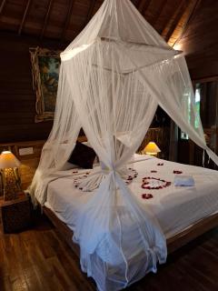 Ubud Virgin Villa - Ubud - 6
