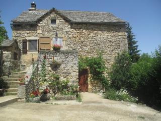 Gite l'anemone - Saint-Pierre-des-Tripiers - 9