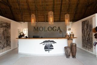 Mologa River Lodge - Rust de Winter - 9