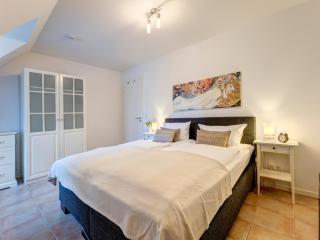 Residenz am Balmer See - BS 25 mit Wellnessbereich - Balm - 1