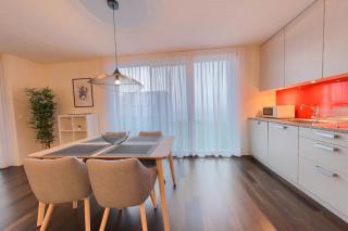 Lake View - Spacious 1 Bed Apartment with Balcony! RDF68-2F - Neuchâtel - 5