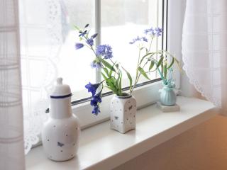 Apartment Henneberg by Interhome - Ostseebad Koserow - 1