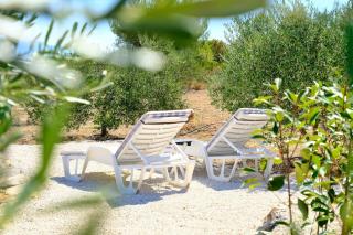 Olive Garden Home with Hot Tub - Mirce - 7