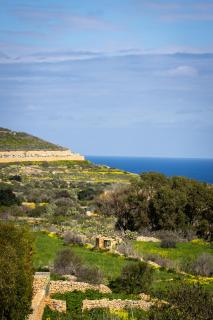Il figolla farmhouse - 0