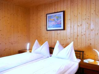 Apartment Prou Riverside by Interhome - Campo Blenio - 7