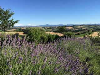 Solea Relais di Charme- Adults only - Trecastelli - 8