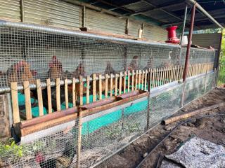 Mangar farm stay - 4