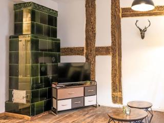 Apartment Friedrich-Wilhelm II by Interhome - Mirow - 8