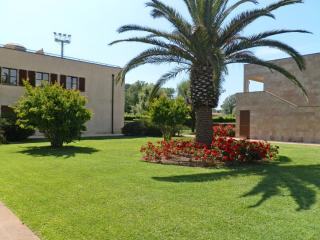 Apartment Cosmopolitan Golf - TIR280 by Interhome - Tirrenia - 1