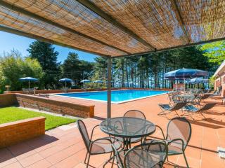 Apartment San Vivaldo- Nr- 3 by Interhome - San Vivaldo - 0
