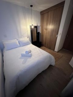 Lujosa Habitación cerca al aeropuerto 1 baño compartido - 2