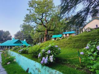 Forest Vibes Kalatop-Rooms and Restaurant - Dalhousie - 6