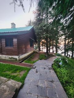 Forest Vibes Kalatop-Rooms and Restaurant - Dalhousie - 2