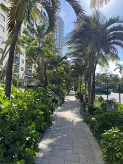 Hallandale Beach Apmt 1B 1B Beach & Pool Service - 2
