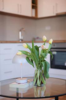 Apartman Mint&White Borik - Banja Luka - 3