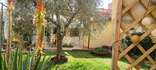 Casa in giardino - Piombino - 5