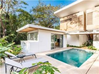 Green House 1 - Nosara - 6