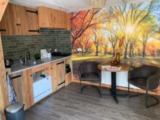 Veluwse Bos en Heide Studio - 7