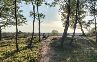 2 Bedroom Amazing Home In Hellendoorn - Hellendoorn - 9
