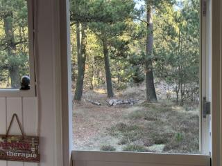 Holiday Home Hansa - 3km from the sea by Interhome - Blokhus - 9