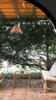 Le Lamie di Ostuni -typical countryhouse in Puglia - San Michele Salentino - 4