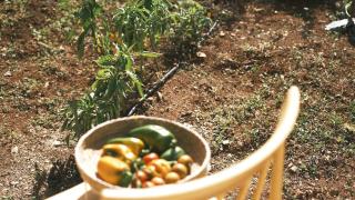Le Lamie di Ostuni -typical countryhouse in Puglia - San Michele Salentino - 2