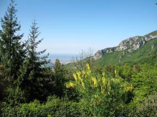 Holiday Home La Quercia by Interhome - Casoli - 6