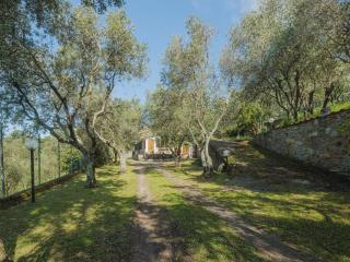 Holiday Home Casali by Interhome - Montignoso - 6