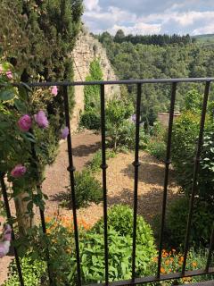 Campanina - Bonnieux - 7
