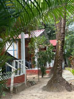 Coconut Grove Palolem - Canacona - 6