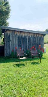 Little Davis Farmhouse - Greeneville - 7