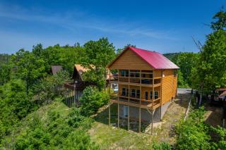 Chasing Views - Sevierville - 9