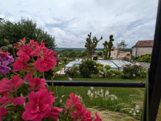 Domaine du Coq - Montignac-le-Coq - 0