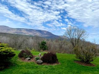 Daydream Mountain Art Chateau - Catskill - 8