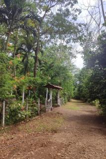Tropical Forest Adventure Near Arenal Volcano - Chachagua - 7