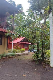 Tropical Forest Adventure Near Arenal Volcano - Chachagua - 6