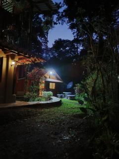 Tropical Forest Adventure Near Arenal Volcano - 2