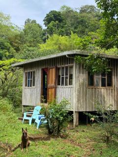 The Tropical Tiny House - Potrero - 9